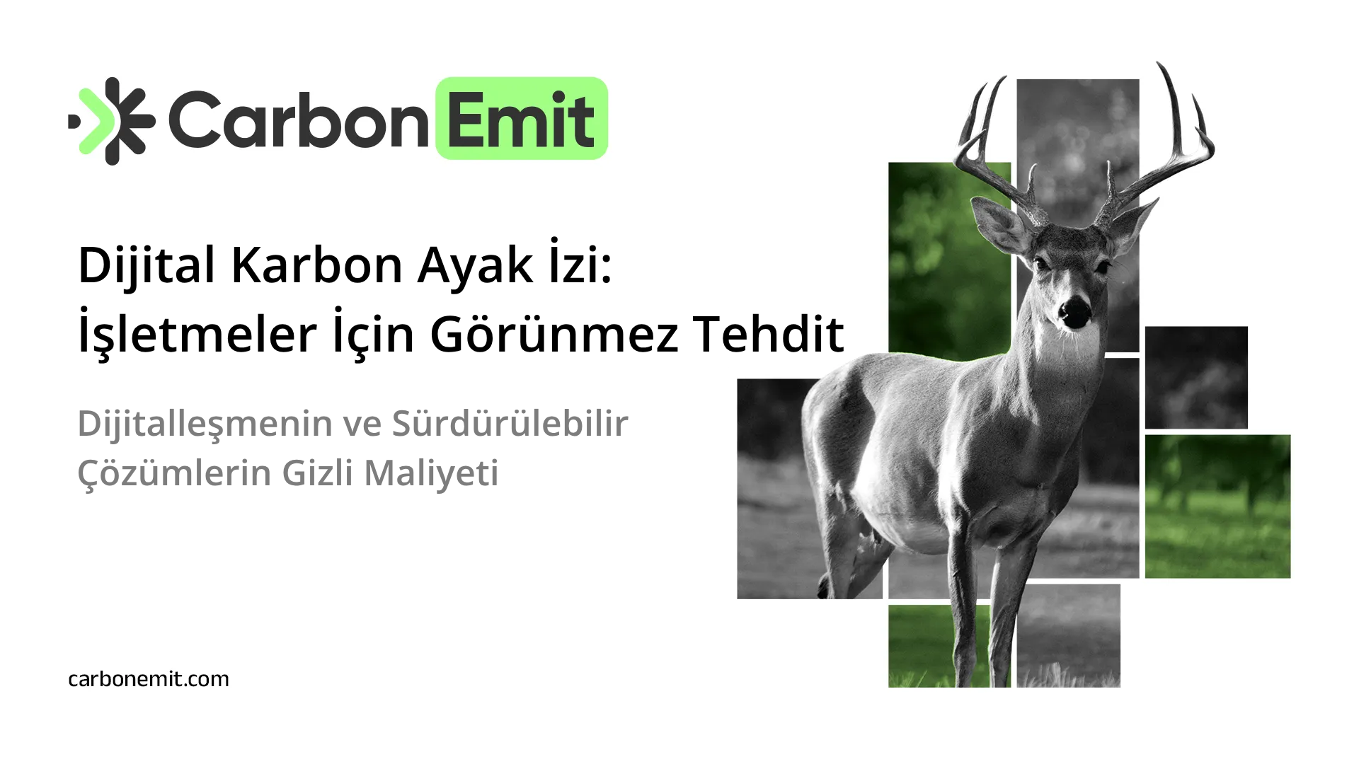 Dijital Karbon Ayak İzi: İşletmeler İçin Görünmez Tehdit