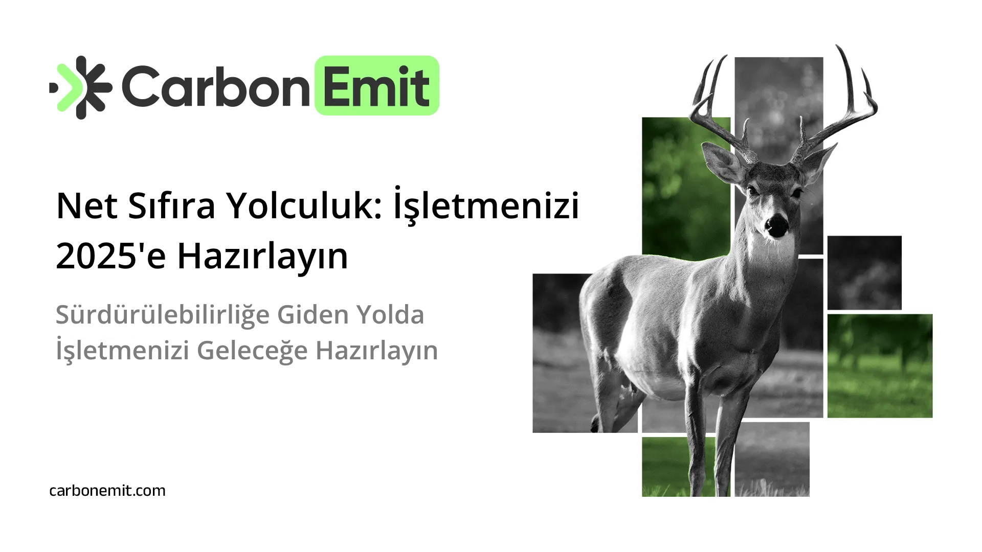 Net Sıfıra Yolculuk: İşletmenizi 2025'e Hazırlayın