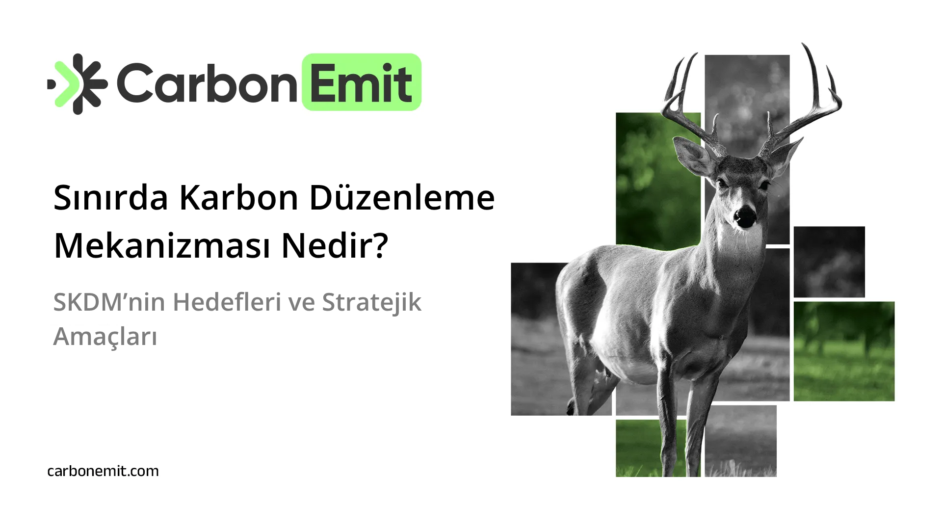 Sınırda Karbon Düzenleme Mekanizması Nedir?