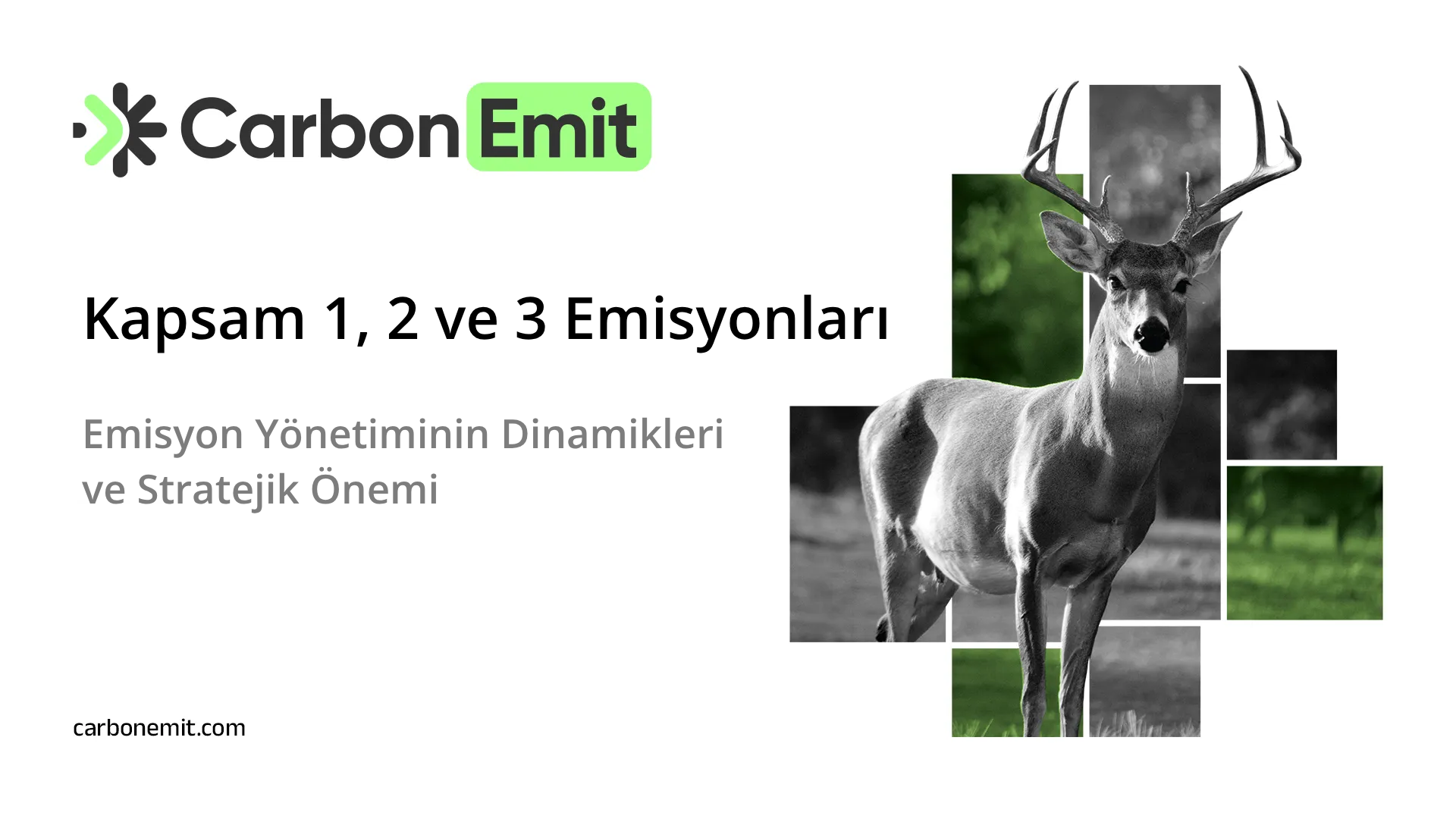 Kapsam 1, 2 ve 3 Emisyonları